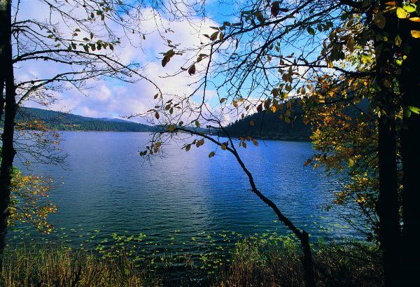 Bahar ayları Abant gölünün en keyifli zamanıdır.